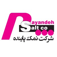 Payinde salt company
