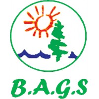 Company Company B. A. G. S