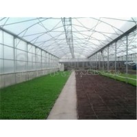 Company, greenhouse construction, flower, green, Covenant