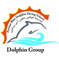 Dolphin groups
