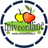 miveonlline