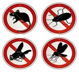 رش ضمان ضد الحشرات
