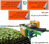 Mention the Nesha greenhouse. Seed planting machine in the seedling tray