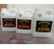 Advance Fertilizers. Growth and Flowering