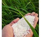 برنج غزال