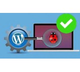 Troubleshoot WordPress sites