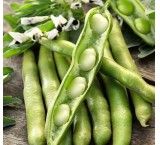 Bean pesticide and fungicide