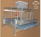 Mini quail cage, the sweet experience of raising quail at home