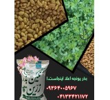 Sale of alfalfa seeds without middleman with factory direct shipment