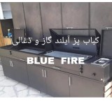 Gas metal fireplace, firewood, electric fireplace and gas and charcoal barbecue