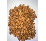 Stone almond kernel