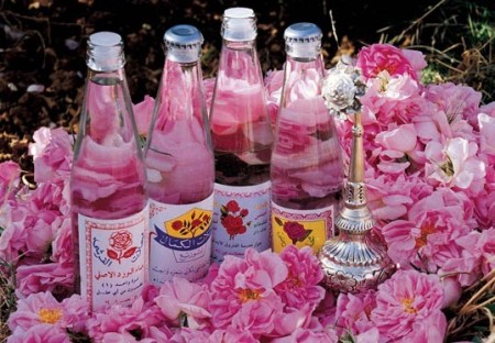 The production of rose water and عرقیجات ASR
