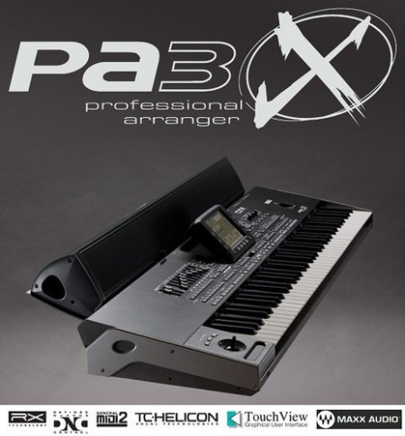 RAM 256 for keyboards pa 3X