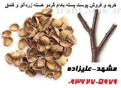 The purchase and sale of Internet skin, pistachio nut, almond, etc. walnut
