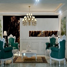 The Department of architecture and interior decoration luxury Art