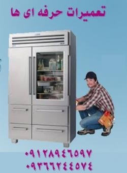Repairs, specialized, refrigerator, and cooling water professionals