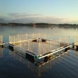 #Manufacture and sale of cage fish farming