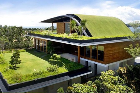 روف garden - green roof - garden roof
