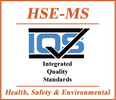 Consulting, training, and deployment of HSE systems - issuance of HSE