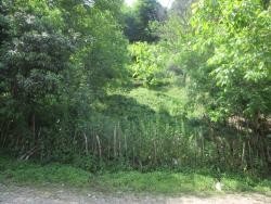 Sale of land with a wonderful landscape in the village of چوشل(siahkal