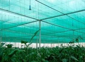 Lace canopy greenhouse(lace shade)