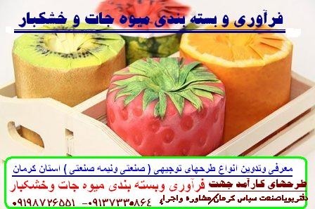 The production and packaging of food in Kerman province
