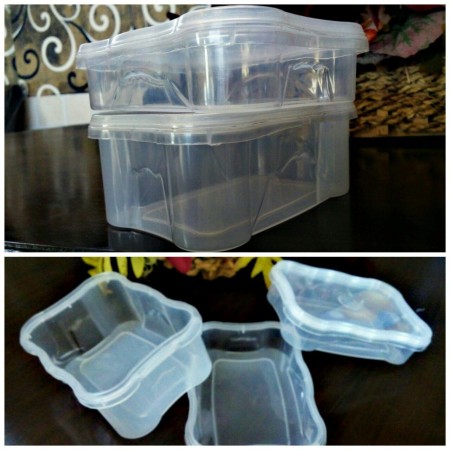 Container with a lid and plastic