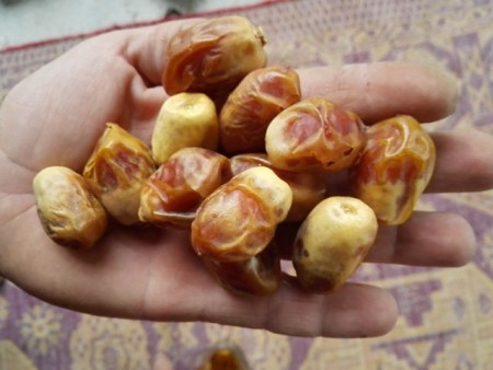 فروش عمده خرماکبکاب،زاهدی دشتستان