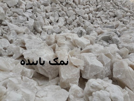 الملح الصخری خاصة ازمعادن الملح.