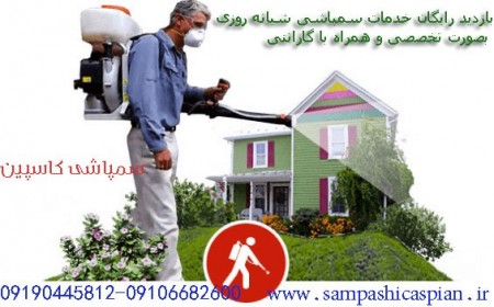 Spraying houses in Tehran