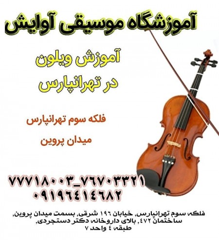 Violin Specialized Training in Tehranpars