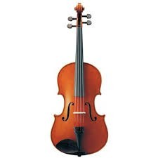 Types of violins and accessories with excellent price and quality