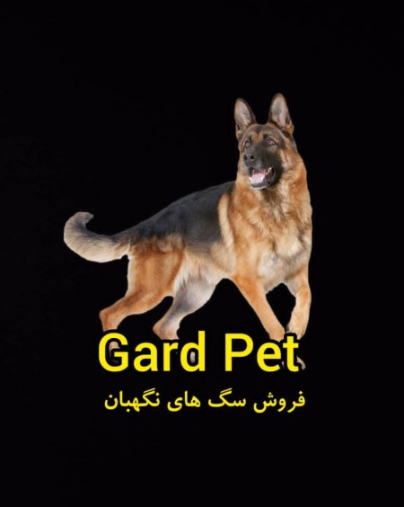 Sale of guard dogs
