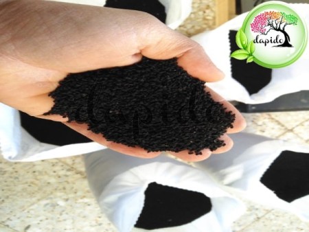 Wholesale supply of black seeds at a cheap price