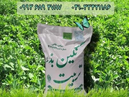 Sale of long base alfalfa seeds