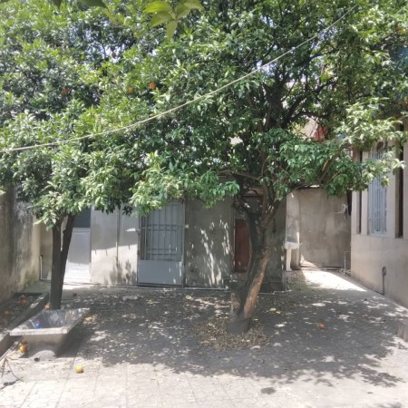 Mortgage of a house with a yard in the north (Mazandaran, Qaimshahr)