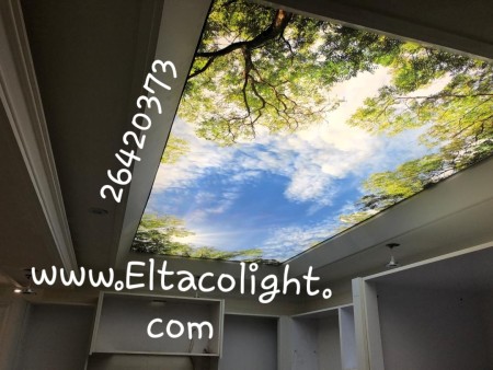 Sales and installation of elastic ceilings