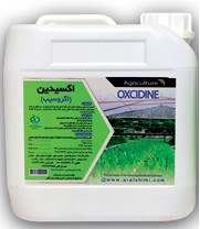 Agrosib-peracetic acid disinfectant in hydroponic culture