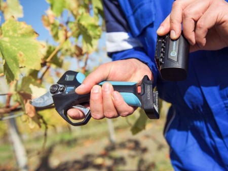 Cordless pruning shears made by Campaniola, Italy