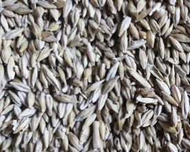 Import of wheat, barley, flour, beans, sunflower oil