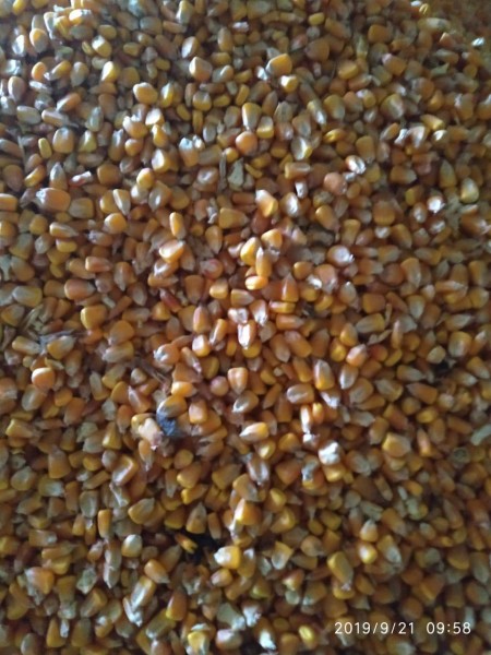 Import of wheat, barley, flour, beans, sunflower oil