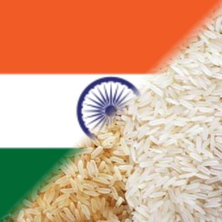 Indian basmati rice and 1121 gold