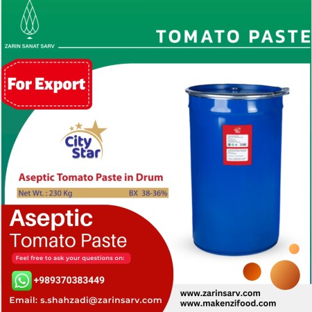 Aseptic tomato paste from Iran for export