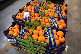فروش کوتاژ پرتقال صادراتی