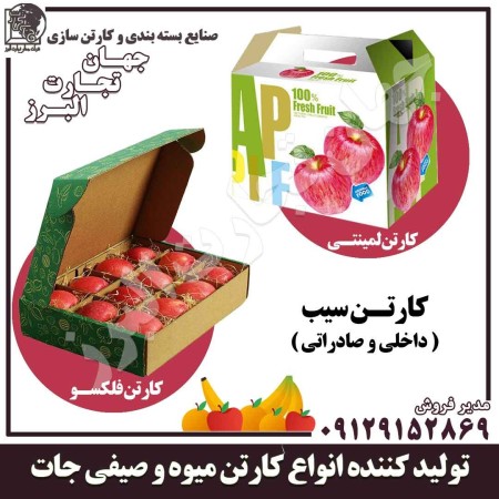 Fruit cartons and fruit packaging for export