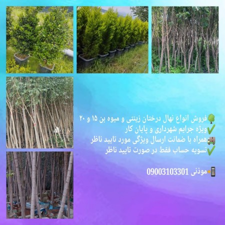 Tree saplings of bin 15 and bin 20 of the Tehran Article 7 Commission