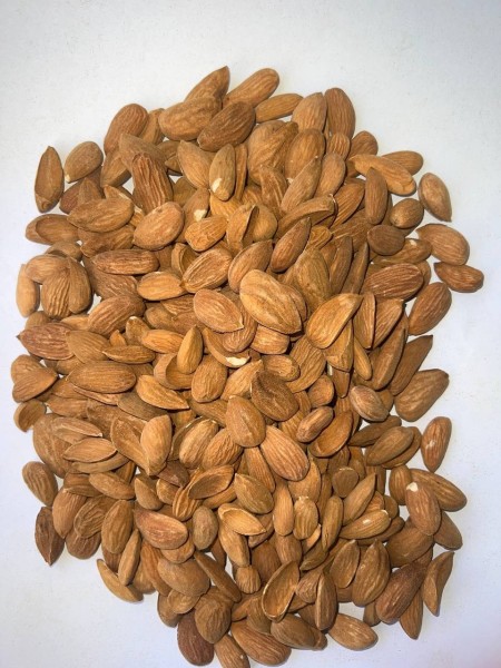 Stone almond kernel