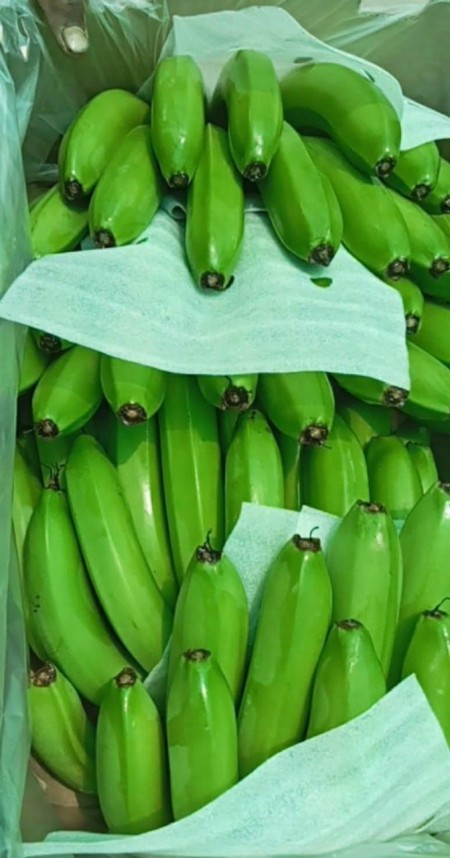 Imported Indian bananas