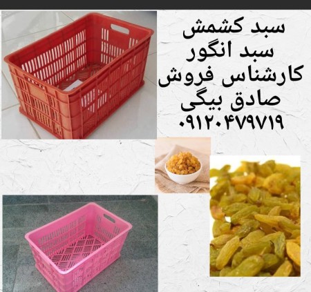 Badhhamal, Vangur raisin basket