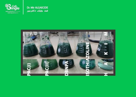 Anti-algae solution